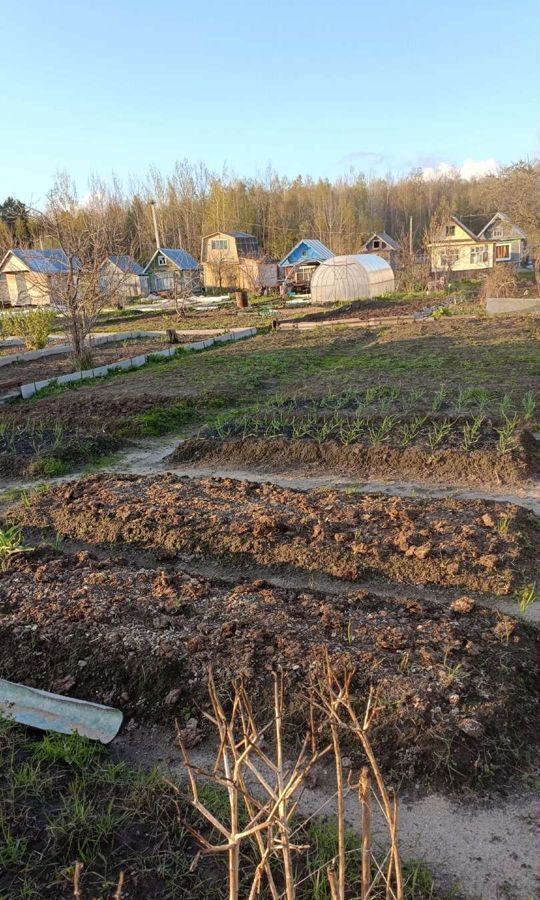 земля р-н Рыбинский п Каменники Каменниковское сельское поселение, Рыбинск фото 6