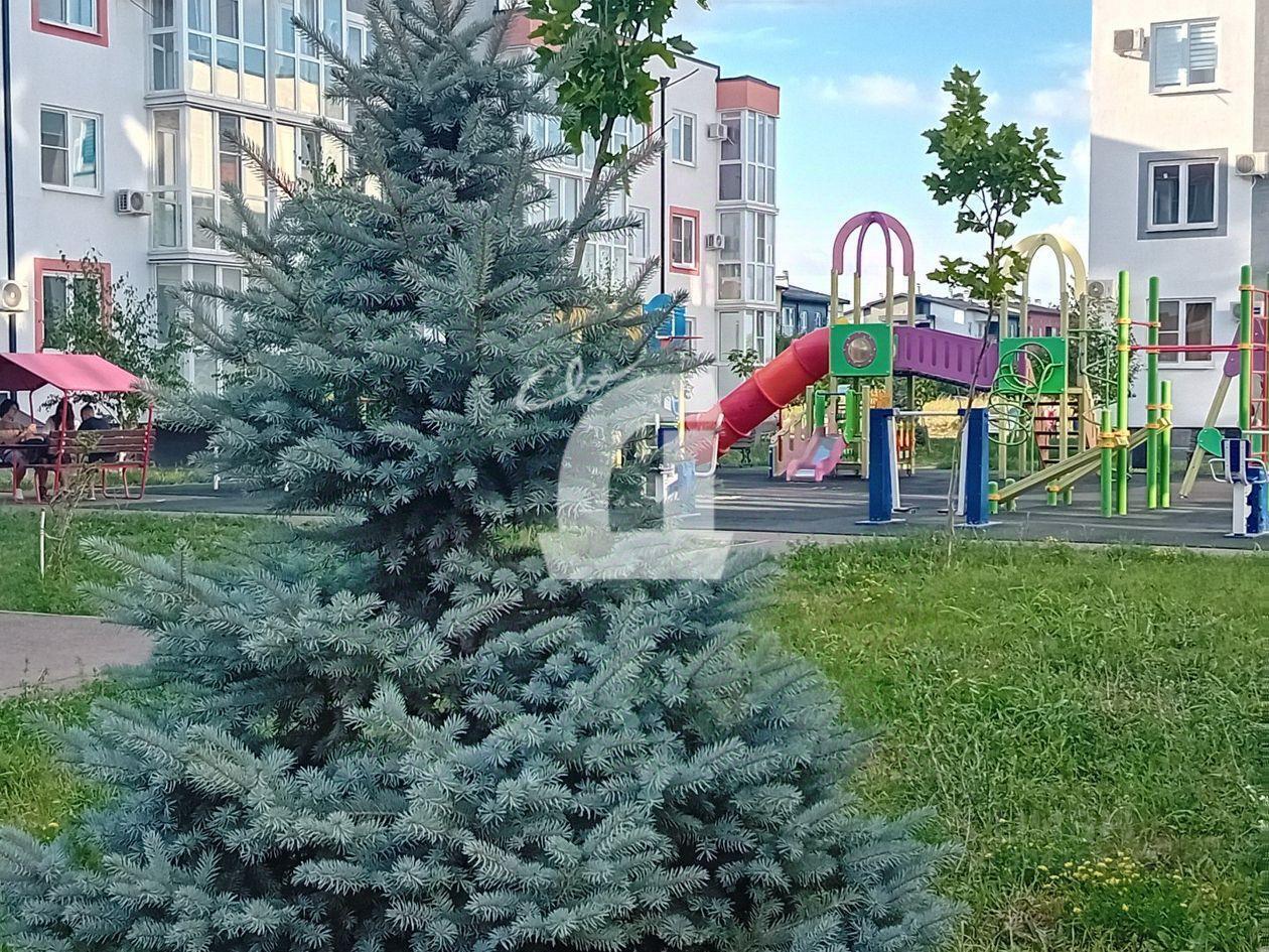 квартира г Краснодар р-н Прикубанский ул Лиссабонская 109/28 фото 19