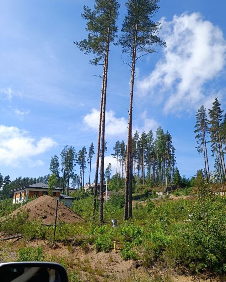 земля р-н Выборгский п Пески Полянское сельское поселение, коттеджный пос. Финский бриз, Песочное фото 3