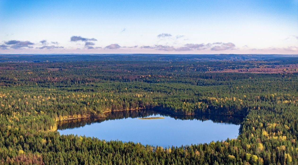 земля р-н Выборгский п Красная Долина Приморское городское поселение фото 43