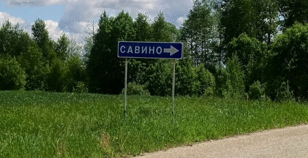 земля р-н Людиновский д Савино сельское поселение Село Заречный, Людиново фото 1