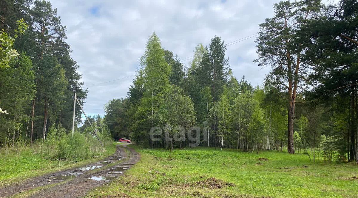 земля р-н Томский Деревня Петровский уч, пер. Озерный, 1Б фото 18