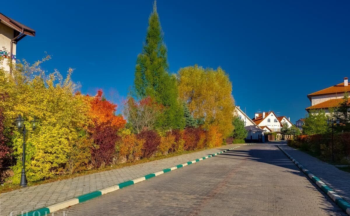 земля городской округ Красногорск с Петрово-Дальнее коттеджный пос. Петровский, Красногорск фото 5