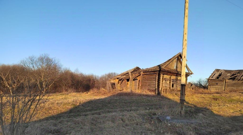 земля р-н Вадский с Борисово Поле ул Садовая фото 8