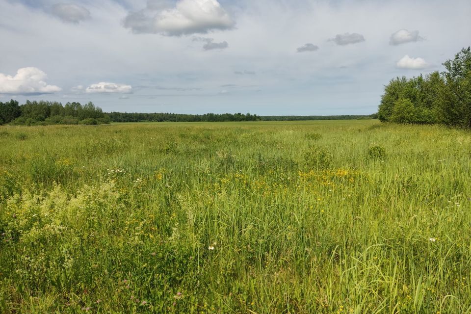 земля р-н Медведевский село Нурма фото 4