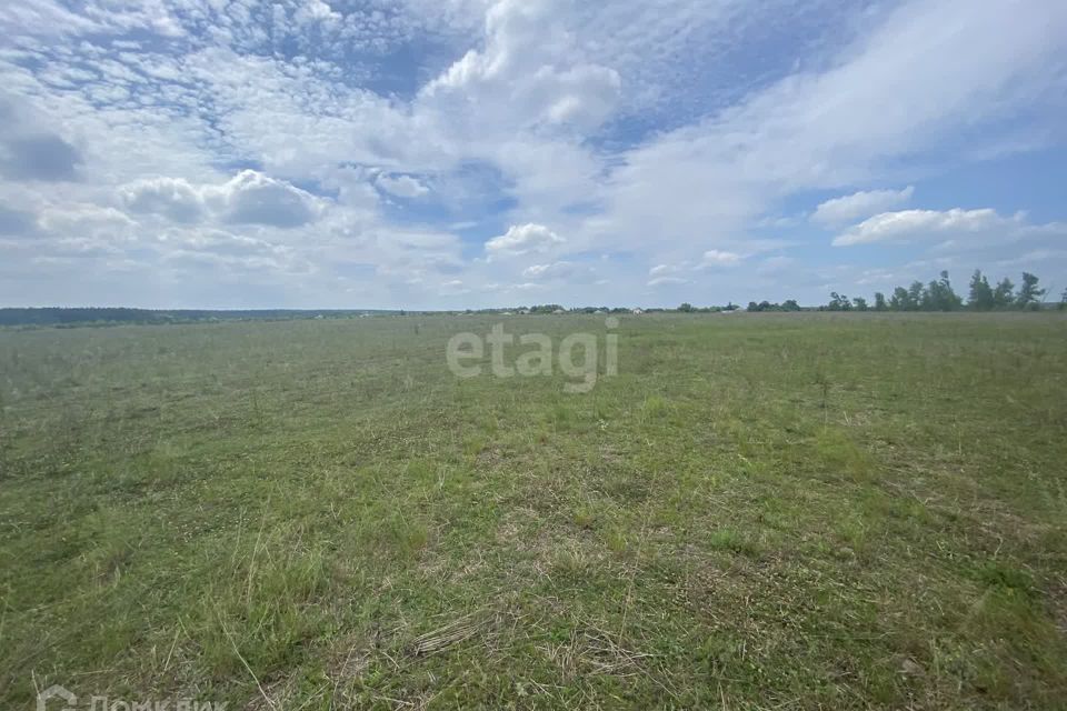 земля р-н Старооскольский село Новокладовое фото 8