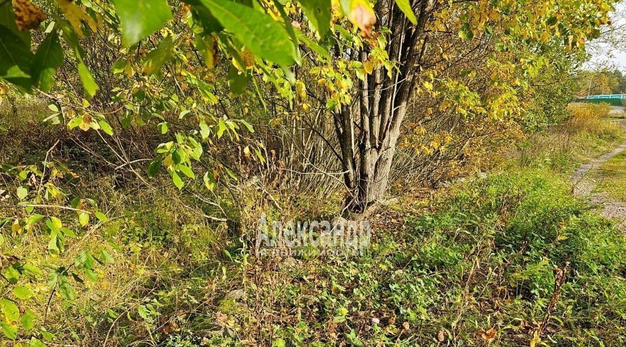 земля г Сортавала п Ниэмелянхови Сортавальский муниципальный округ фото 31