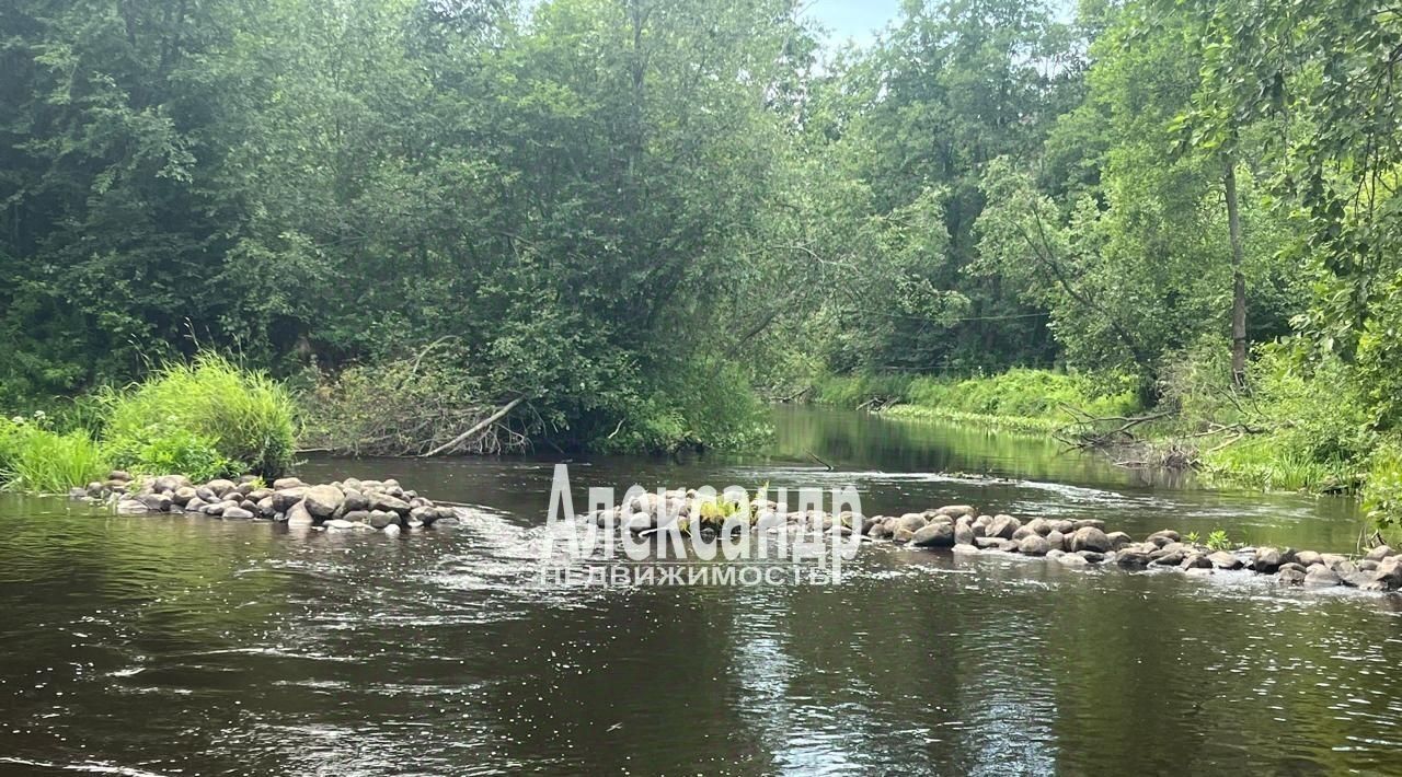 земля р-н Приозерский п Денисово ул Народная 19 с пос, Парнас, Запорожское фото 21