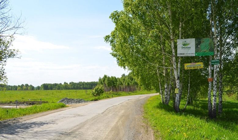 земля р-н Новосибирский с Гусиный Брод Раздольненский сельсовет, мкр-н Идиллия, Барышево фото 4