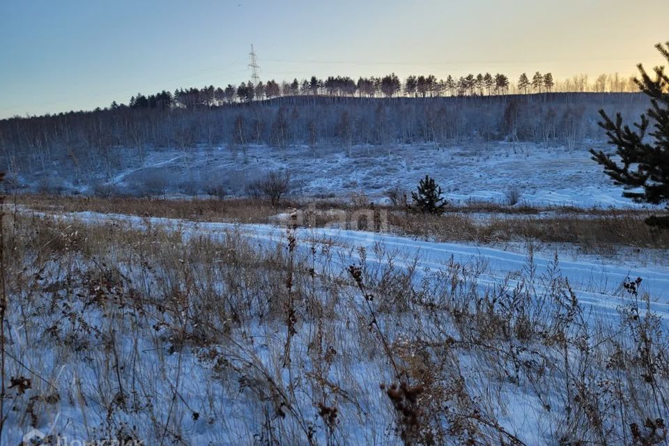 земля р-н Читинский с Засопка ДНТ Молодёжный фото 7