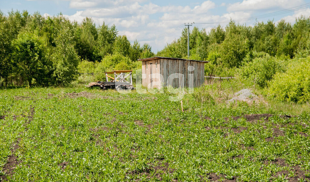 земля р-н Тобольский с Карачино ул Казачья Карачинское сельское поселение фото 8