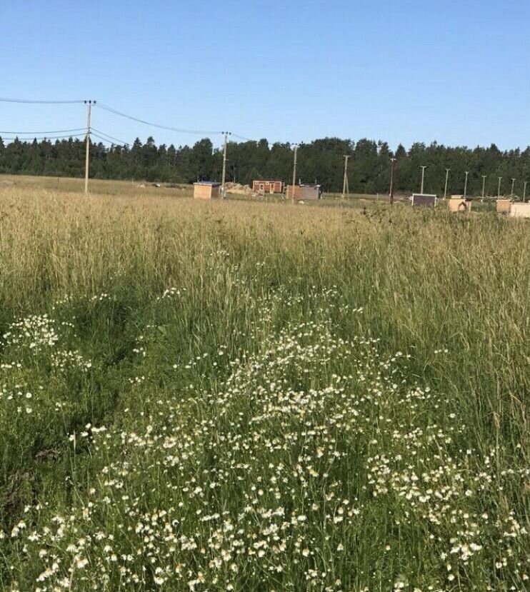 земля р-н Приозерский д Васильево Красноозёрное сельское поселение, Коробицыно фото 10