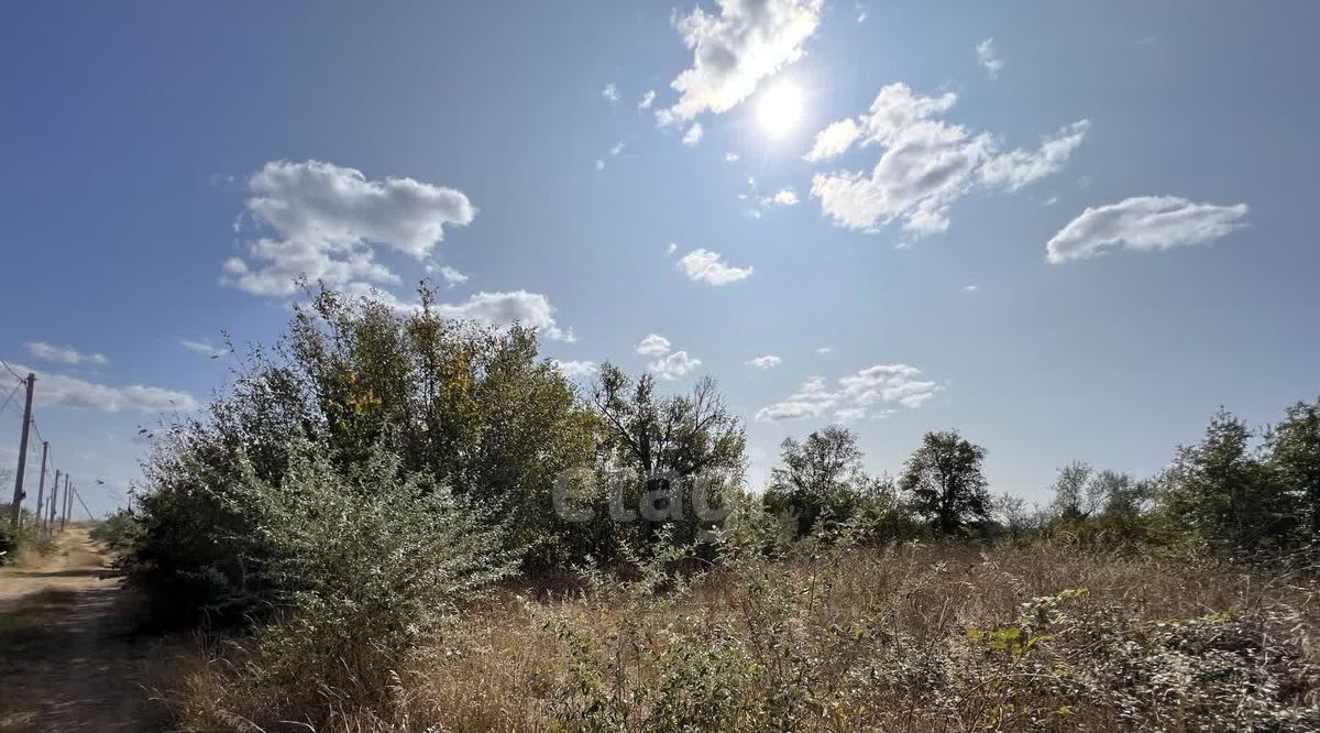 земля р-н Сакский пгт Новофедоровка снт Береговой СК фото 6