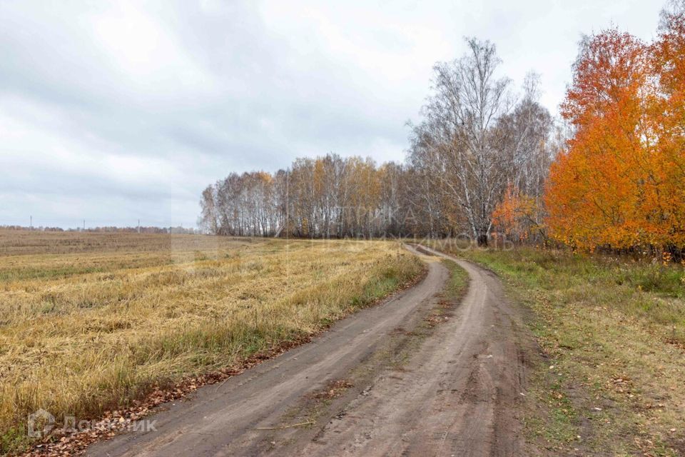 земля р-н Тюменский фото 1