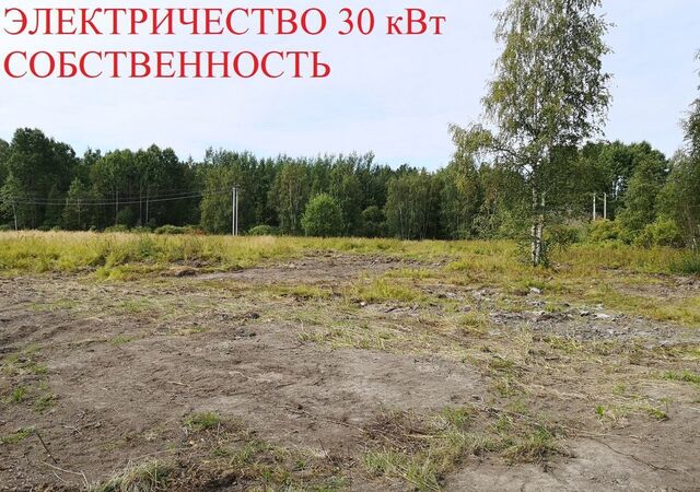 земля Трасса Скандинавия, 86 км, Советское городское поселение, Советский фото