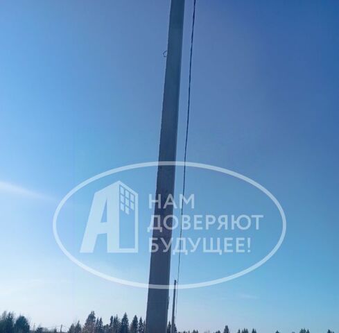 д Завожик фото