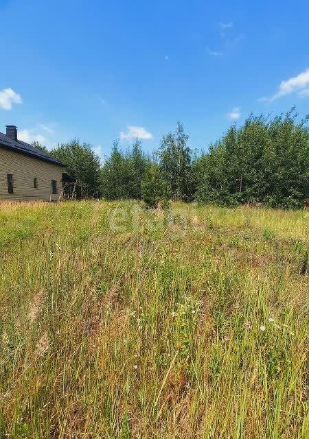 земля р-н Рамонский д Медовка ул Центральная 47 фото 6