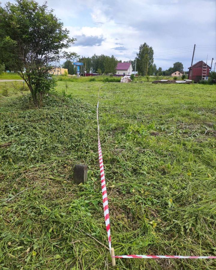 земля р-н Некрасовский с Малые Соли ул Рождественская сельское поселение Некрасовское, Некрасовское фото 13