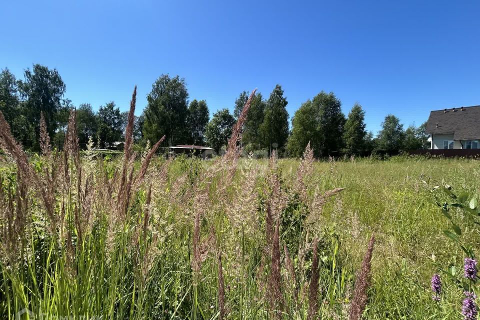 земля городской округ Раменский ДНП Кузяево парк фото 9