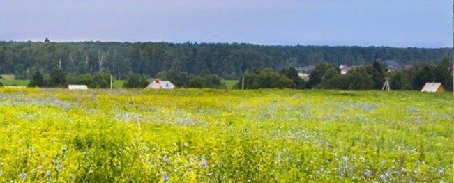 земля р-н Ясногорский д Бараново снт Мечта Иваньковское муниципальное образование фото 8