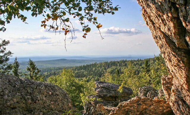 ул Терновая Дегтярск фото