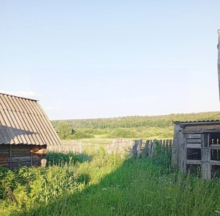 дом р-н Камбарский с Балаки ул Ленина фото 18