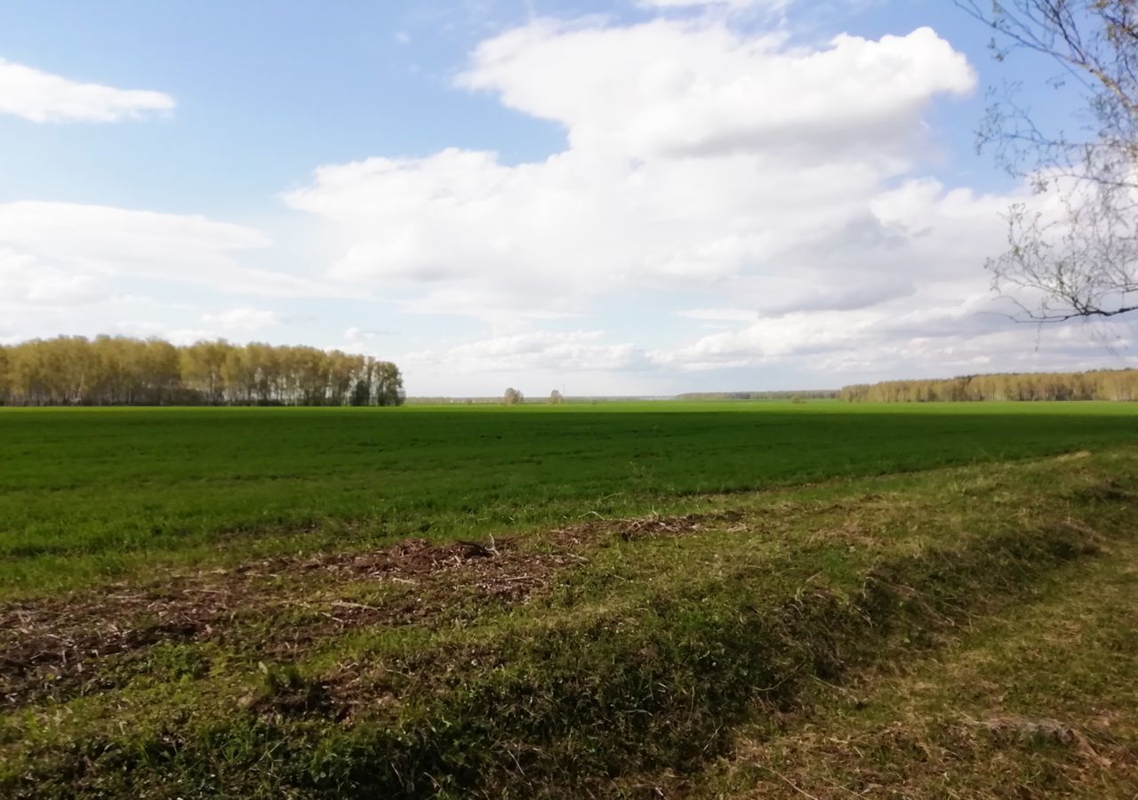 земля городской округ Луховицы с Григорьевское ул Дубин Заулок Луховицы фото 20