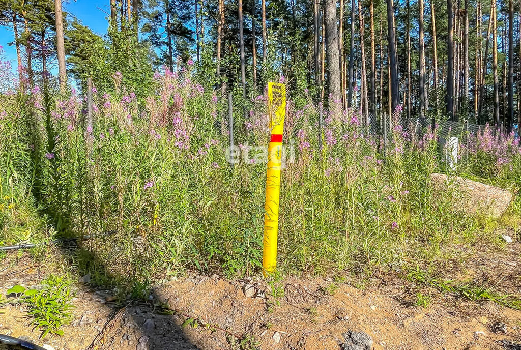 земля р-н Выборгский Полянское сельское поселение фото 12