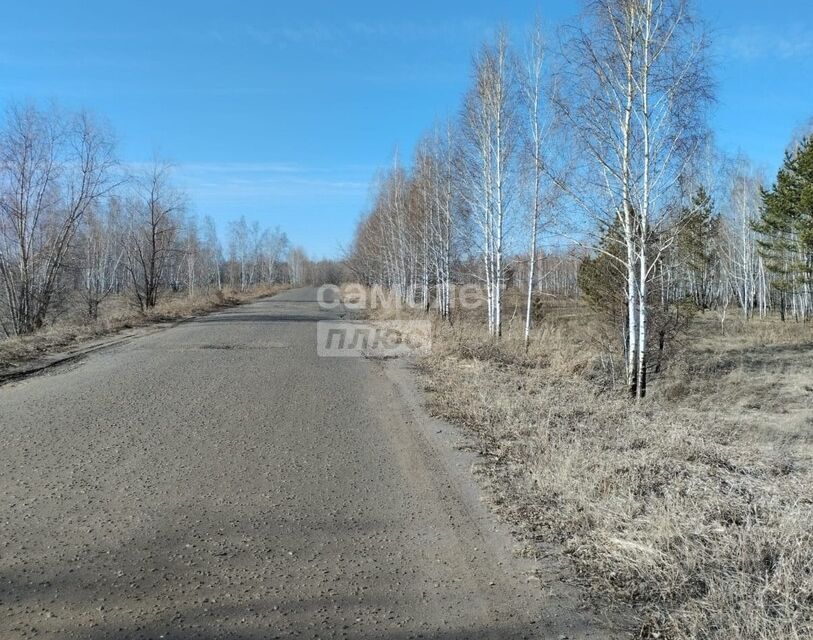 земля р-н Омский село Чернолучье фото 4