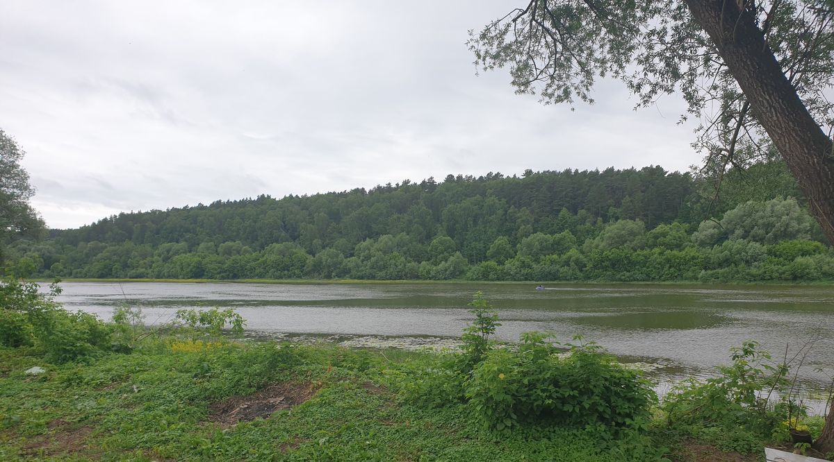 земля р-н Алексинский д Нижнее Ламоново Ламоново на Оке кп фото 4