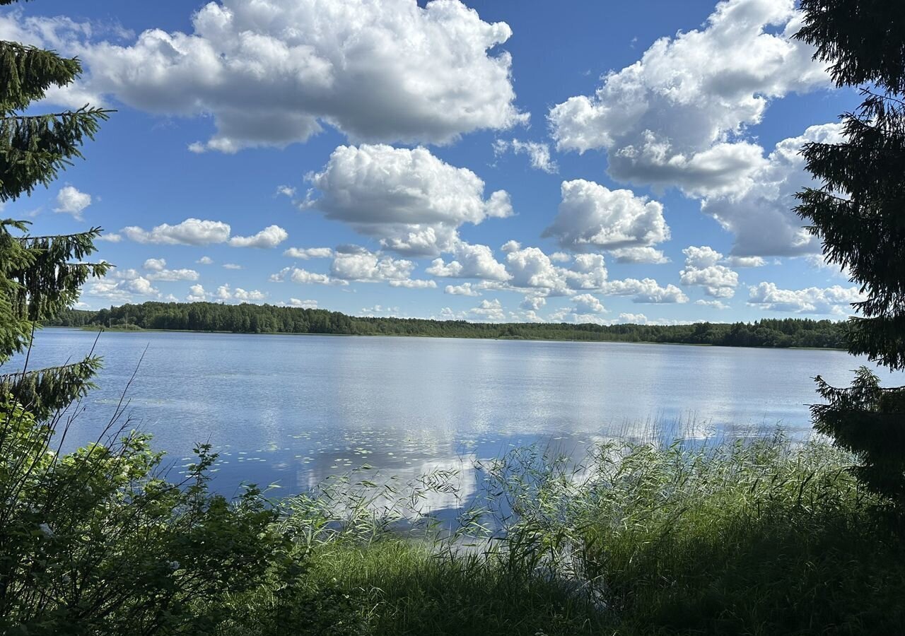 дом р-н Белозерский д Попово Белозерск фото 36