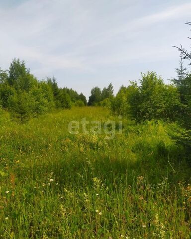 Шиховское сельское поселение, Кирово-Чепецк фото