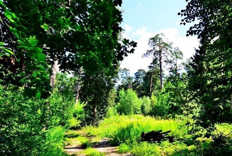 земля городской округ Одинцовский д Жуковка Красногорск, дп. Ильинское фото 1