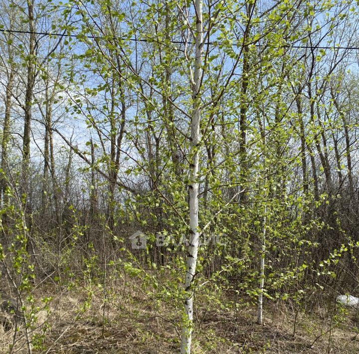 земля р-н Пензенский Воскресеновский сельсовет, Калинка садовое товарищество фото 4