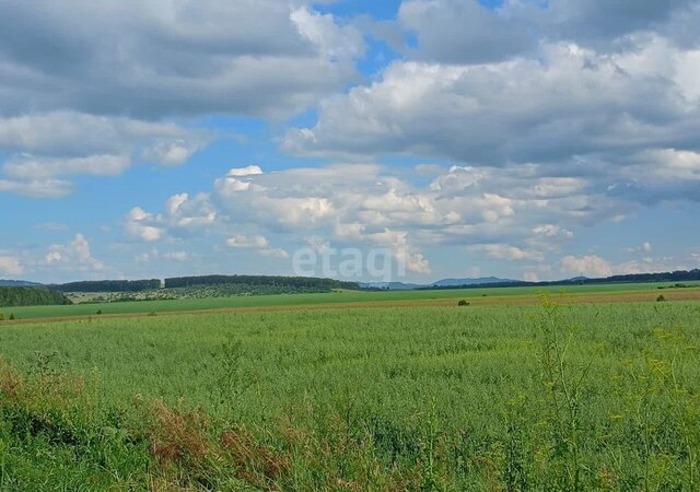 с Макарьевка ул Садовая Алтайское фото