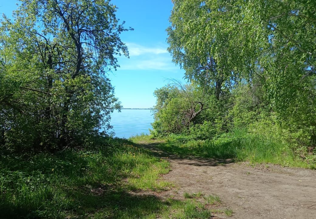 земля р-н Каслинский г Касли сад Новинка Каслинское городское поселение, ул. Свентицкого фото 11