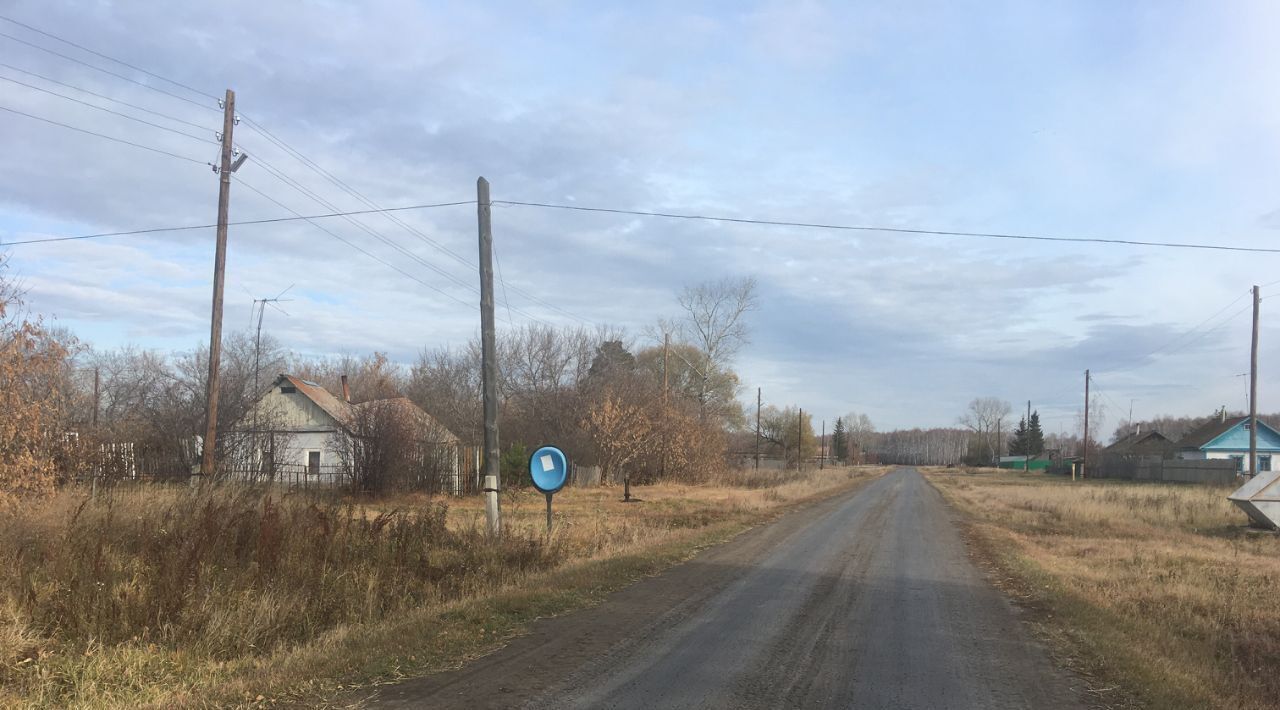 земля р-н Азовский немецкий национальный д Барсуковка ул Центральная 5 Азовский район, Александровское с пос фото 6