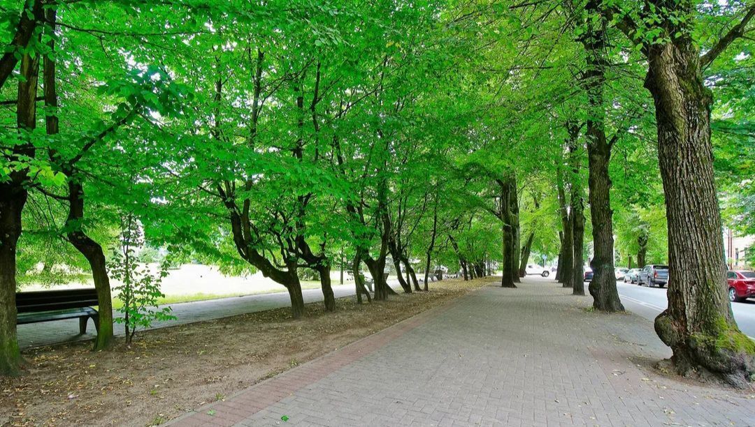 квартира г Калининград р-н Центральный ул Комсомольская 46 фото 23