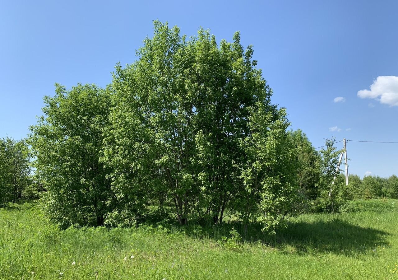 земля городской округ Клин г Высоковск коттеджный пос. Третьяково Лайф, г. о. Клин фото 9