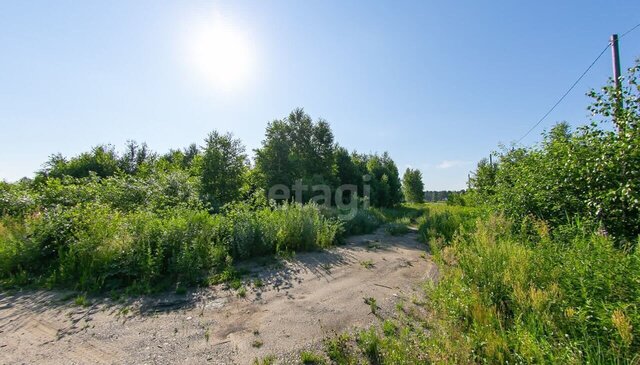 Гвардейская ул, Томск фото