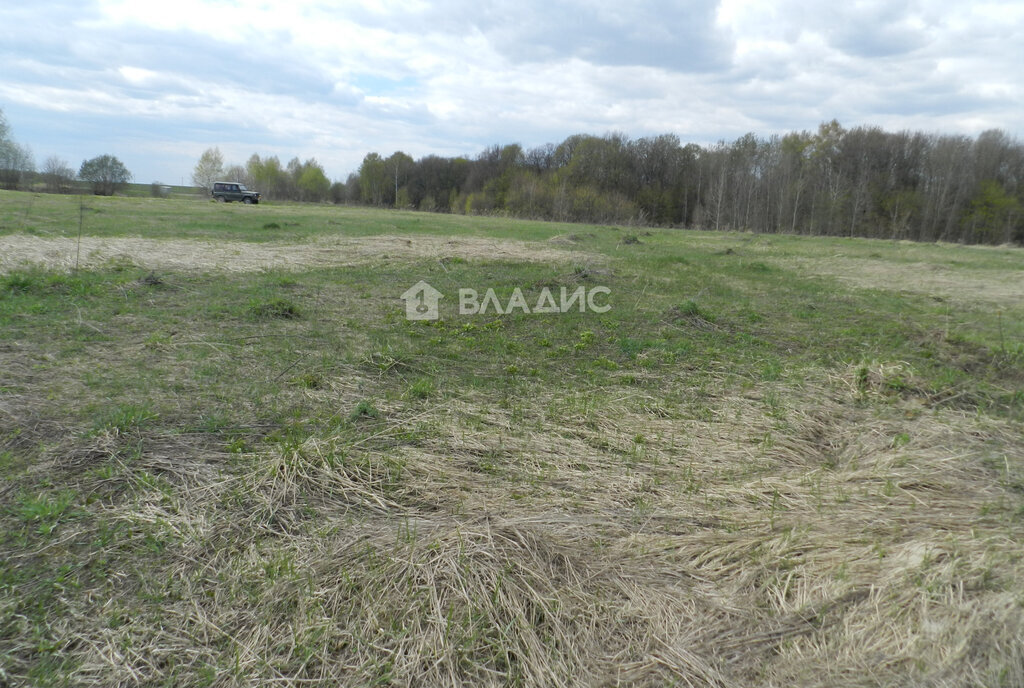 земля муниципальное образование Второвское, деревня Горки фото 3