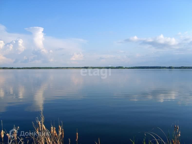 дом р-н Каслинский деревня Знаменка фото 2