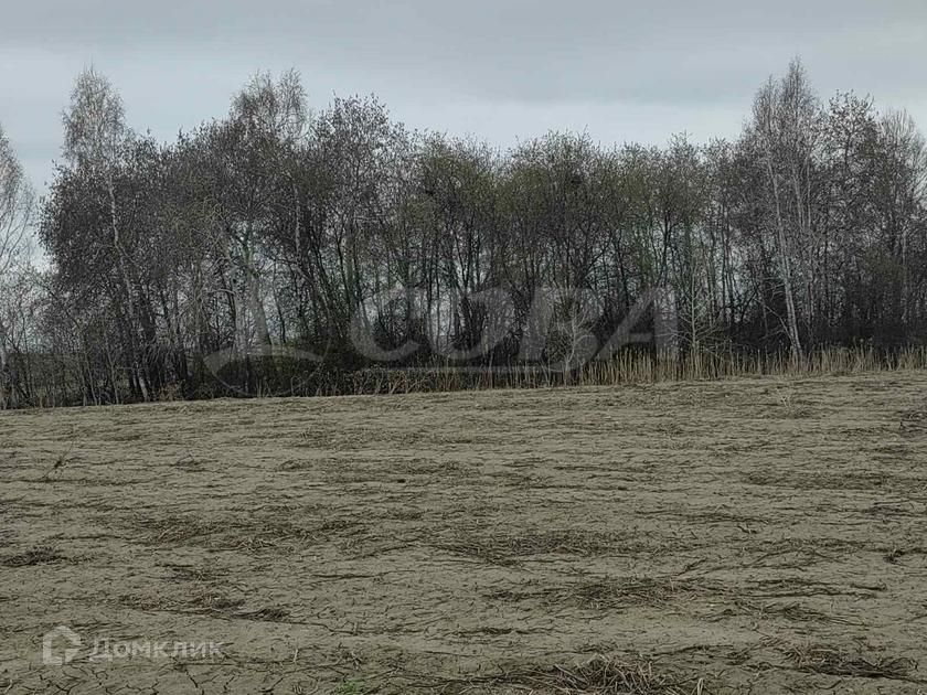 земля р-н Тюменский Каскаринское муниципальное образование фото 4