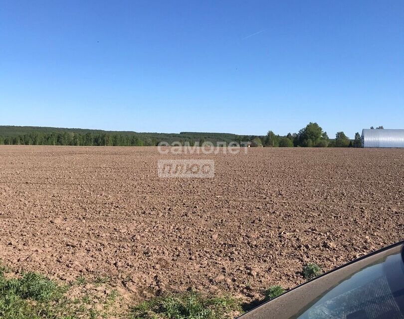 земля р-н Горномарийский д Шунангер ул 1 Марта фото 4