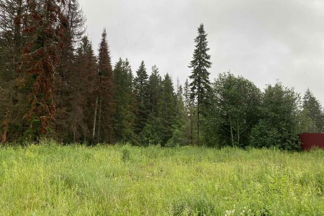 Добрянский городской округ, рабочий посёлок Полазна фото