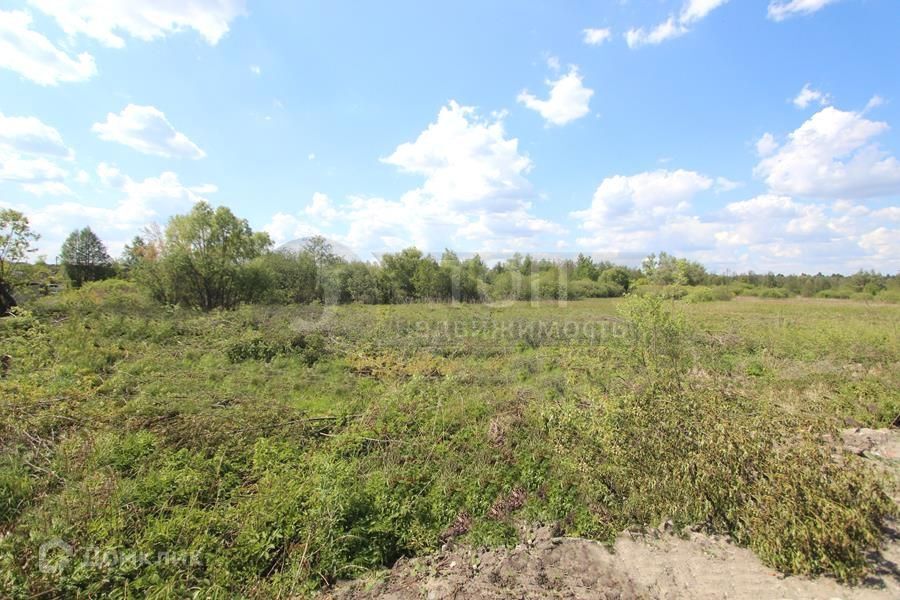 земля г Пенза р-н Железнодорожный городской округ Пенза, садовое некоммерческое товарищество Дубрава фото 8