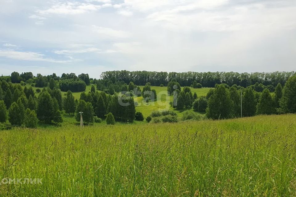 земля р-н Новокузнецкий п Баевка ул Нагорная 16 фото 6