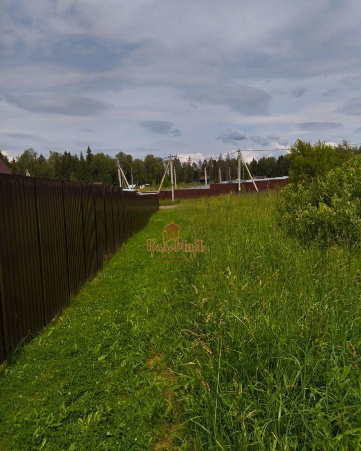 земля городской округ Мытищи д Голенищево Икша фото 7