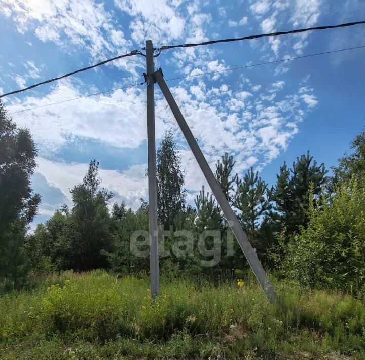 земля р-н Богородский д Килелей ул Вишневая фото 7