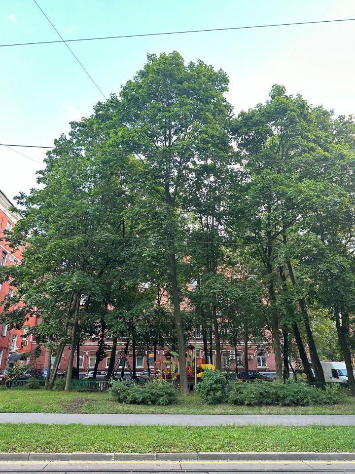 квартира г Москва метро Сокольники ВАО ул Бабаевская 1/8 с 1, Московская область фото 5